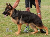 Chijas-Giovanni stand HAS 2014-6903