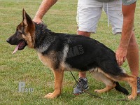 Haus-Lintz-Inco stand HAS 2014-6921