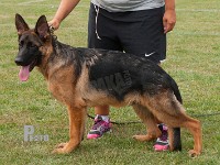 Normanners-Gismo stand HAS 2014-6928