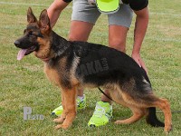 Ove-av-Quantos stand HAS 2014-6909