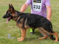 Schezzheims-Tzar stand HAS 2014-6898