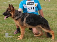 Team-Marlboro-Odin stand HAS 2014-6890