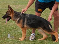 Team-Marlboro-Opus stand HAS 2014-6917