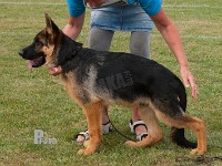 Team-Marlboro-Puma stand HAS 2014-6931