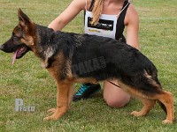 Wildmarkens-Neo stand HAS 2014-6923