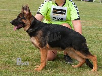 Wildmarkens-Nitro stand HAS 2014-6907