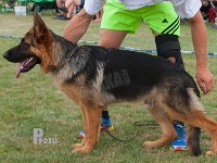 Haus-Heldahl-Gobi stand HAS 2014-7140