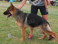 Jasapanis-Garlic stand HAS 2014-7144