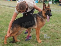 Jordemoderhusets-Messi stand HAS 2014-7148