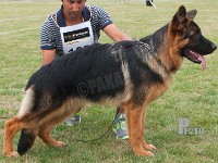 Lyngstedet-Miro stand HAS 2014-7122