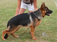 Maegaards-Baloo stand HAS 2014-7159