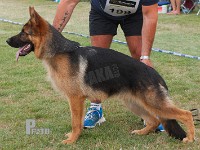 Skovhyttens-Lennox stand HAS 2014-7132