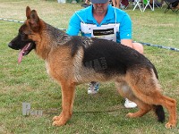 Team-Marlboro-Kanto stand HAS 2014-7134