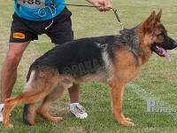 Team-Marlboro-Loke stand HAS 2014-7108