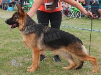 Thomsebo-Kick-Me-Kealan stand HAS 2014-7156