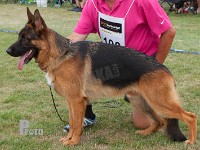 Vesterlund-Mec stand HAS 2014-7150