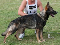 Canone-Bakki stand HAS 2014-7442