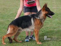 Maegaards-Yoker stand HAS 2014-7412