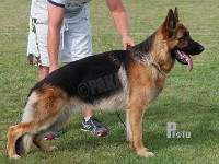 Tashlund-Milo stand HAS 2014-7406