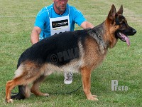 Team-Marlboro-Icon stand HAS 2014-7397