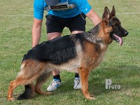 Team-Marlboro-Iron stand HAS 2014-7422