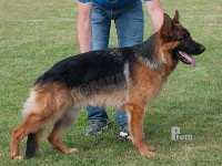 Thornblads-Pacco stand HAS 2014-7435