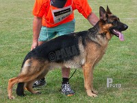 Walkinis-Pardo stand HAS 2014-7426