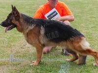 Arijels-Jeff stand HAS 2014-8731