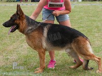 Candro-von-der-Friedrichshoehe stand HAS 2014-8709