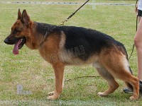 Coronis-Untox stand HAS 2014-8725