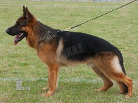 Exel-von-der-Schanzlache stand HAS 2014-8689