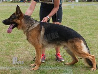 Houen-Qanto stand HAS 2014-8712