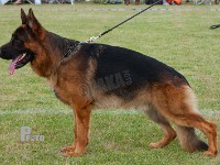 Juwika-Destroyer stand HAS 2014-8682