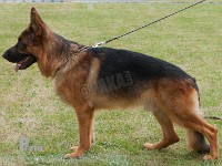 Smeds-Kasmir stand HAS 2014-8717