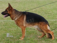 Smeds-Kovo stand HAS 2014-8759