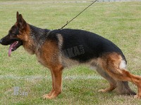 Team-Marlboro-Atos stand HAS 2014-8696