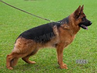 Team-Pakas-Kappa-28.12.13-3242