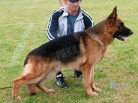 Janki-Yen stand HAS 2014-8966