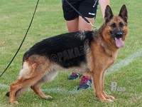 Kratmosens-Yoga stand HAS 2014-8905