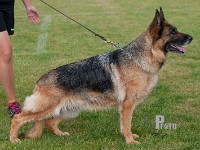 Xelda-zur-Worringer-Rheinaue stand HAS 2014-8941