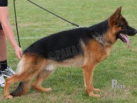 Happy-de-Zitan-de-Arco stand HAS 2014-8211