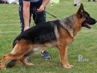 Kratmosens-Jay stand HAS 2014-8266