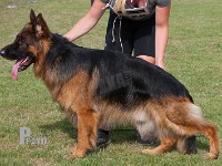 Micadees-Inca-Boy stand HAS 2014-8104