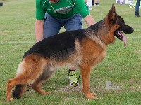 Team-Aaby-Ilko stand HAS 2014-8254