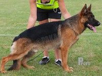 Team-Dikas-IQ stand HAS 2014-8235