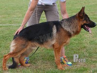 Welinchas-Odin stand HAS 2014-8253