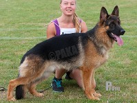 Wildmarkens-Ludwig stand HAS 2014-8262