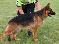 Wildmarkens-Mums stand HAS 2014-8246