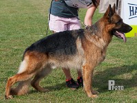 Hassenkams-Bastian stand HAS 2014-9676