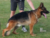 Laban-vom-Emkendorfer-Park stand HAS 2014-9634